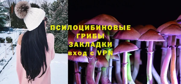 тгк Абаза