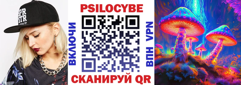 сайты даркнета Telegram  закладка  Дрезна  Псилоцибиновые грибы Cubensis 